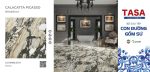 Gạch 80x80 CĐGS Calacatta Picasso TBR100.0707 - Mét - Ảnh 2