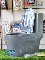 Cầu xám chỉ vàng BC-203 - Bộ - Ảnh 3