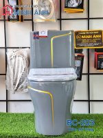 Cầu xám chỉ vàng BC-203 - Bộ - Ảnh 2