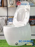 Bàn cầu trứng không két nước BC-VK8686 - Bộ - Ảnh 3